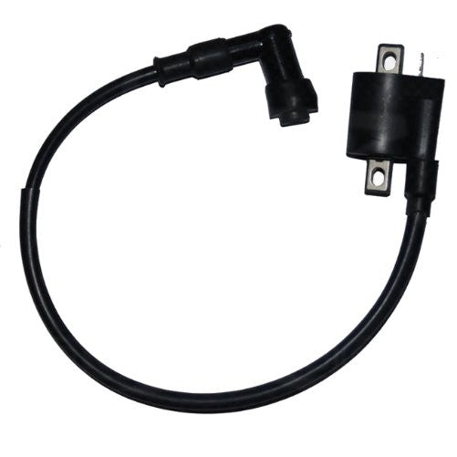 Chinese Ignition Coil 1C for 125-250cc Sport ATVs