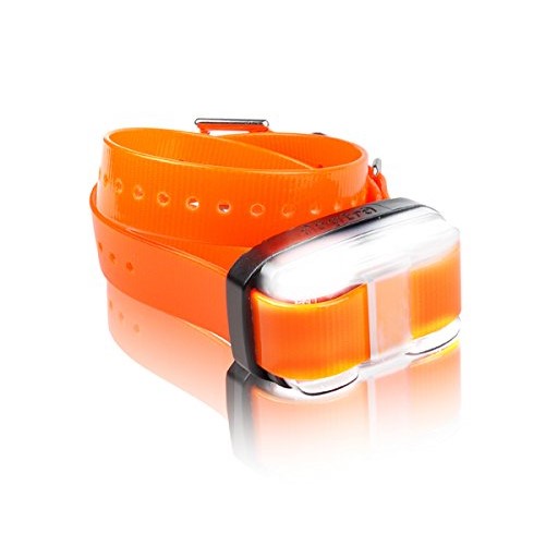 Dogtra EDGE Receiver with Orange Strap