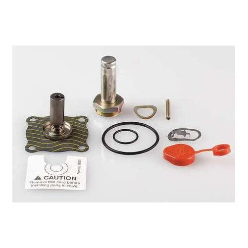 Valve Rebuild Kit, With Instructions