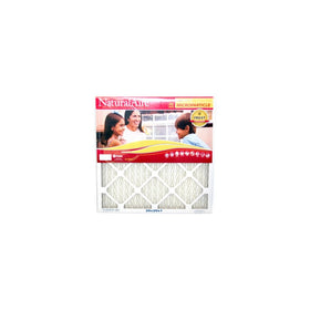 10x20x1, Precisionaire Air Filter, MERV 10, by Flanders
