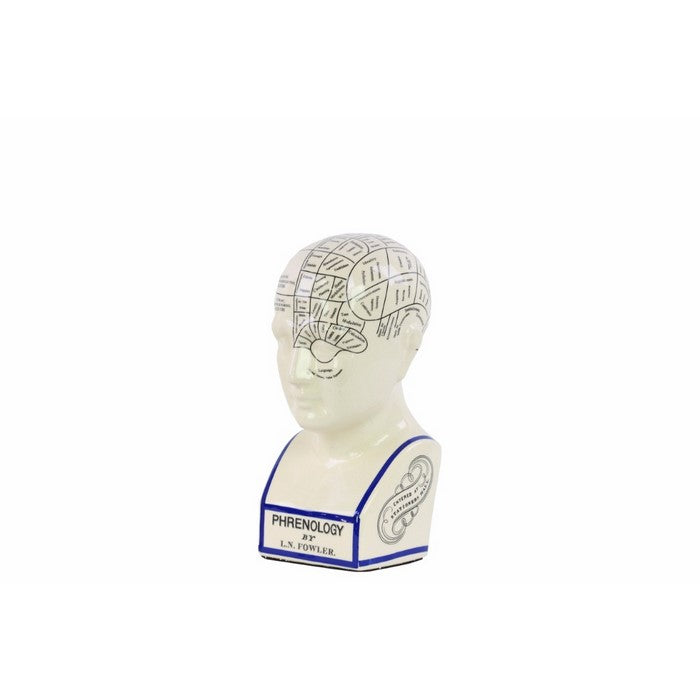 Ceramic Phrenology Bust with Printed Labels, Small, Glossy White
