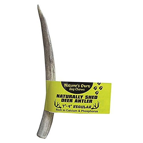 Best Buy Bones 395046 Amer Reg Deer Antler Bulk for Pets, 7-9-Inch