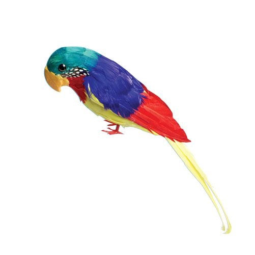 U.S Toy Company Feather Parrot Toy, 12-Inch