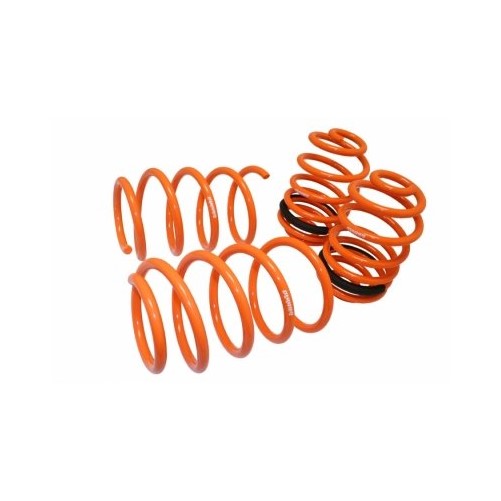 Megan Racing MR-LS-CC06 Coilover Lowering Spring