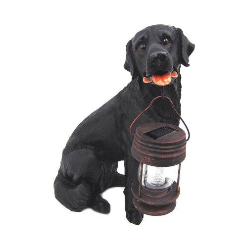 Black Labrador Dog Sitting Down With Lantern Solar Light in Mouth