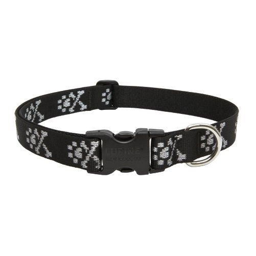 LupinePet Originals 1" Bling Bonz 12-20" Adjustable Collar for Medium and Larger Dogs