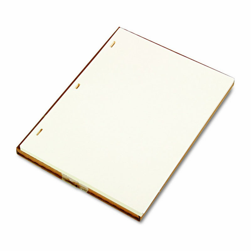 Wilson Jones Looseleaf Minute Book Ledger Sheets, Ivory, 11" x 8-1/2, 100 sheets/box (901-10)