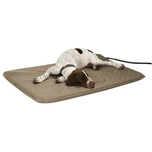 Lectro-Soft Heated Dog Pad with Cover Size: Large (36" L x 25" W)