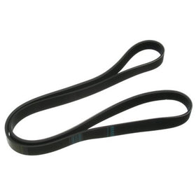 ContiTech Multi Rib Belt