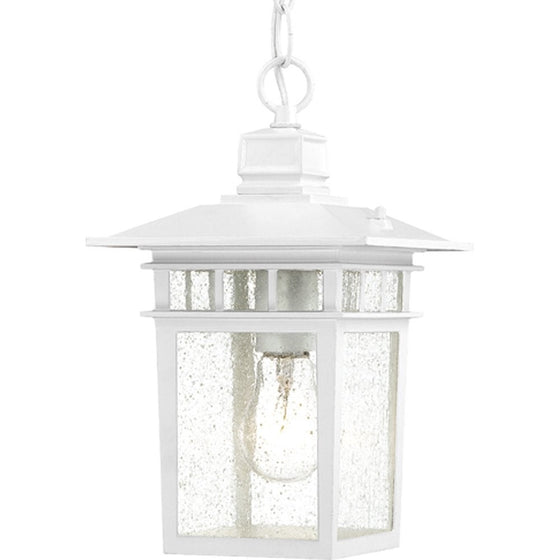 Nuvo Lighting 60/4954 Cove Neck One Light Hanging Lantern 100 Watt A19 Max. Clear Seeded Glass White Outdoor Fixture