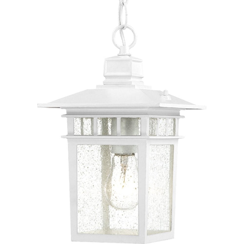 Nuvo Lighting 60/4954 Cove Neck One Light Hanging Lantern 100 Watt A19 Max. Clear Seeded Glass White Outdoor Fixture