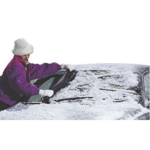 Winter Warrior Windshield Cover