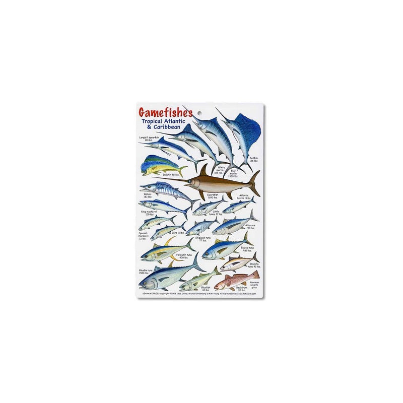 Gamefishes Tropical Atlantic and Caribbean Identification Card
