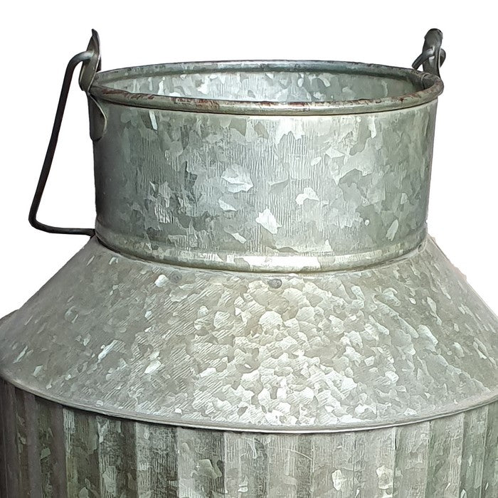 Decorative Flowers and Plants Metal Can with Handle, Gray