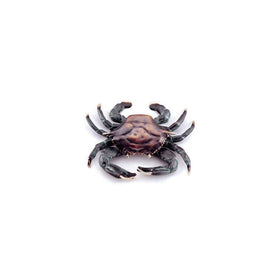 SPI 30748 Crab Doorknocker