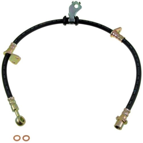 Dorman H380056 Hydraulic Brake Hose