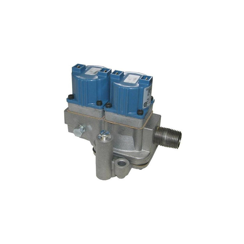 Blodgett Oven 20325 VALVE & NIPPLE GAS NAT DFG