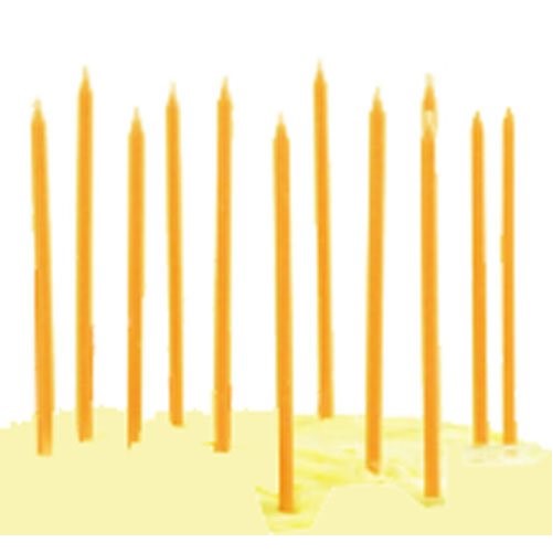 TAG Birthday Party Cupcake / Cake Candles, Set of 12, Orange Orange