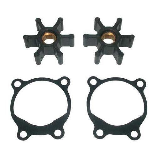 Dayton 5UXN2 Pump Repair Kit