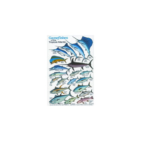 New Submersible Fish ID Card & Pocket Guide for Scuba Divers, Snorkelers & Fishermen - Gamefishes of the Tropical Atlantic