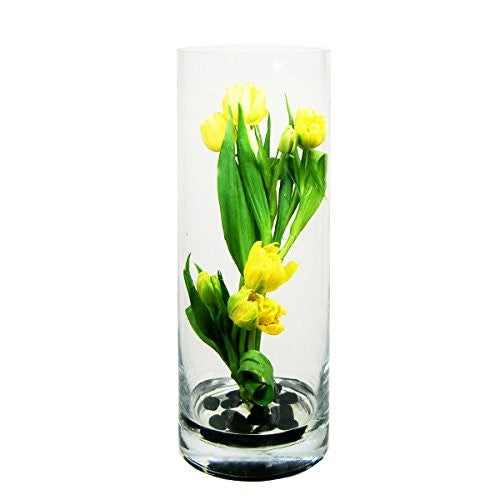 CYS Glass Cylinder Vase. H-16, Open D-6"