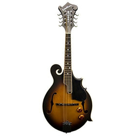 Washburn Package Program M3EK F Mandolin Pack, Tobacco Sunburst