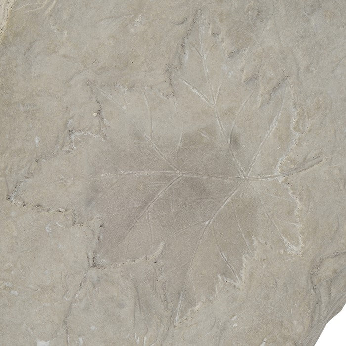 Concrete Fossil Accent Stone with Maple Leaf Imprint, White