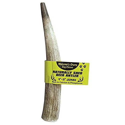 Best Buy Bones395042 9-11-Inch Amer Elk Antler Bulk for Pets, Jumbo