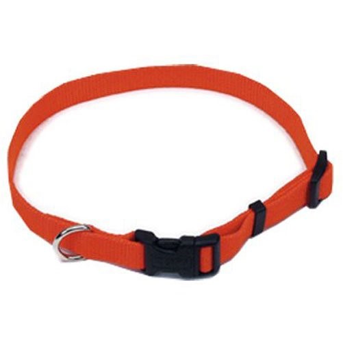 Coastal Pet R6901 G SOR26 Dog Collar, 1-Inch, Orange