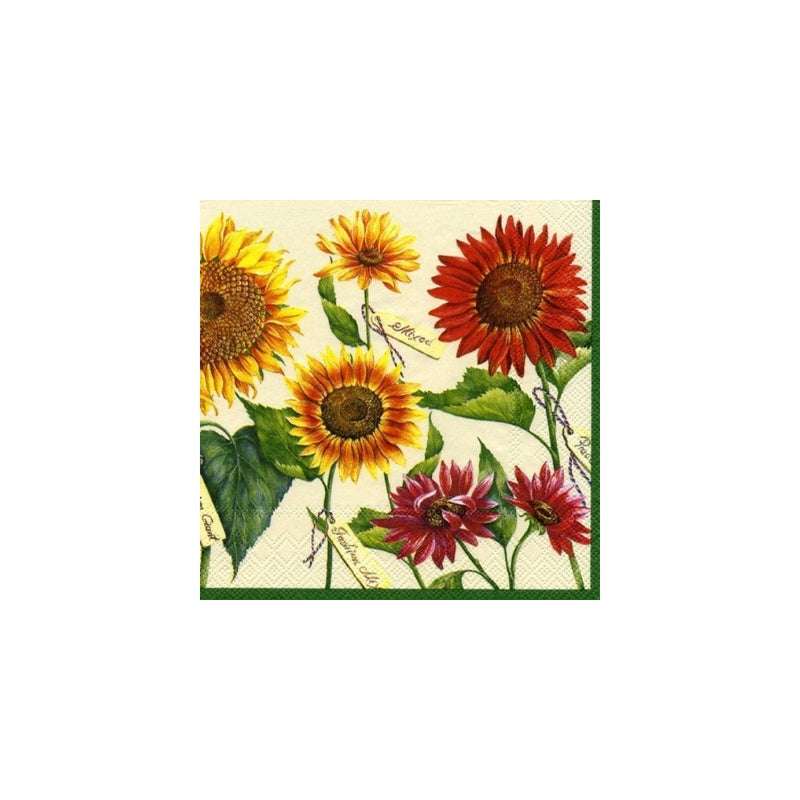 Ideal Home Range 20 Count Boston International 3-Ply Paper Cocktail Napkins, Le Soleil