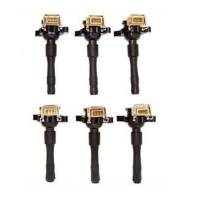 12131748017 12137599219 95-03 BMW Set 6 PCS Ignition Coil