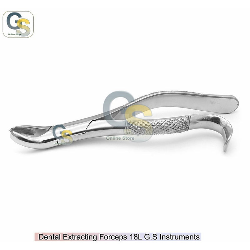 G.S 1PC DENTAL INSTRUMENT 18L EXTRACTING FORCEPS STAINLESS STEEL