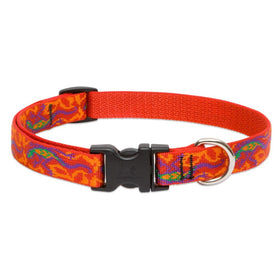 LupinePet Originals 3/4" Go Go Gecko 13-22" Adjustable Collar for Medium and Larger Dogs