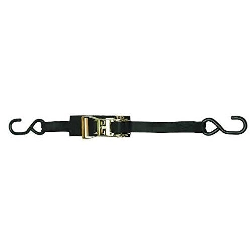 BoatBuckle Ratchet Transom/Utility Tie-Down, 1-Inch x 3.5-Feet