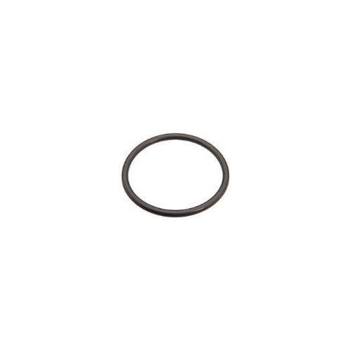 Volkswagen 038 121 119 B, Engine Coolant Thermostat Gasket