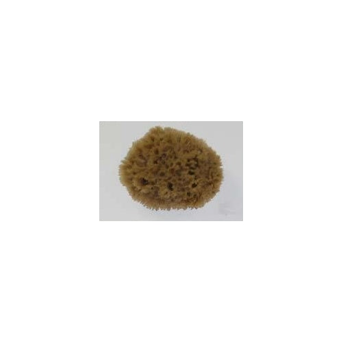 HYDRA 00509 Number-556 5-1/2-Inch X 6-Inch 156 Key Wool Natural Sponge