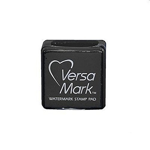 Tsukineko RM000001 1/2 Fluid Ounce VersaMark Inker, Clear