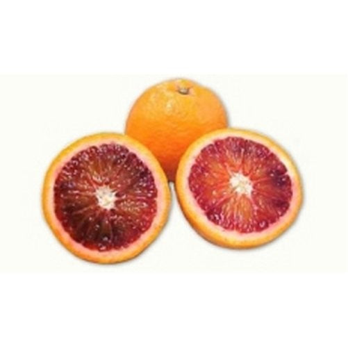 Blood Oranges - 18 Lb Case