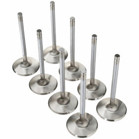 Manley 113628 Valves/Set8