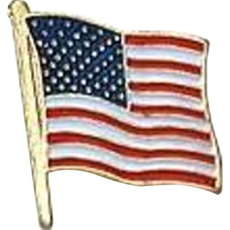 US Flag Store USA Flag Lapel Pin Standard Flag Series 3 with Longer Pole