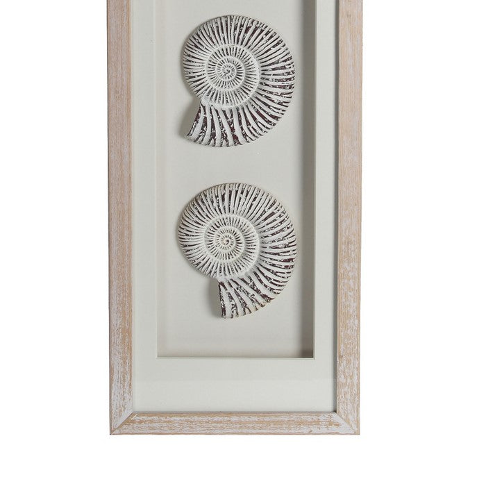 Wood and Glass Shadow Box with Snail Accent, White and Brown