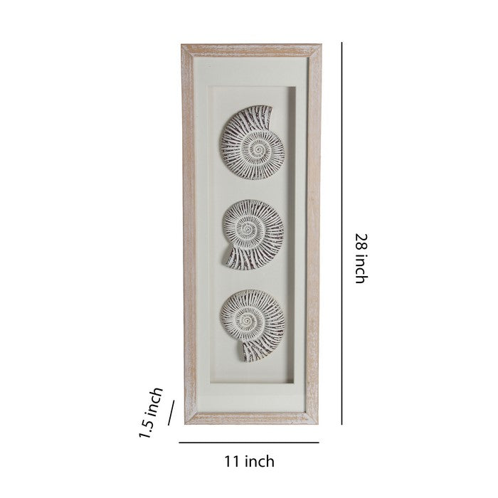 Wood and Glass Shadow Box with Snail Accent, White and Brown