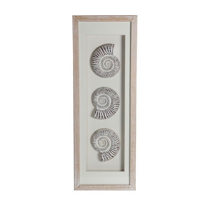 Wood and Glass Shadow Box with Snail Accent, White and Brown