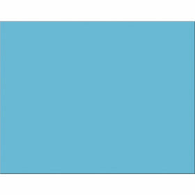 Peacock 4-Ply Railroad Board, 22"X28", Light Blue, 25 Sheets