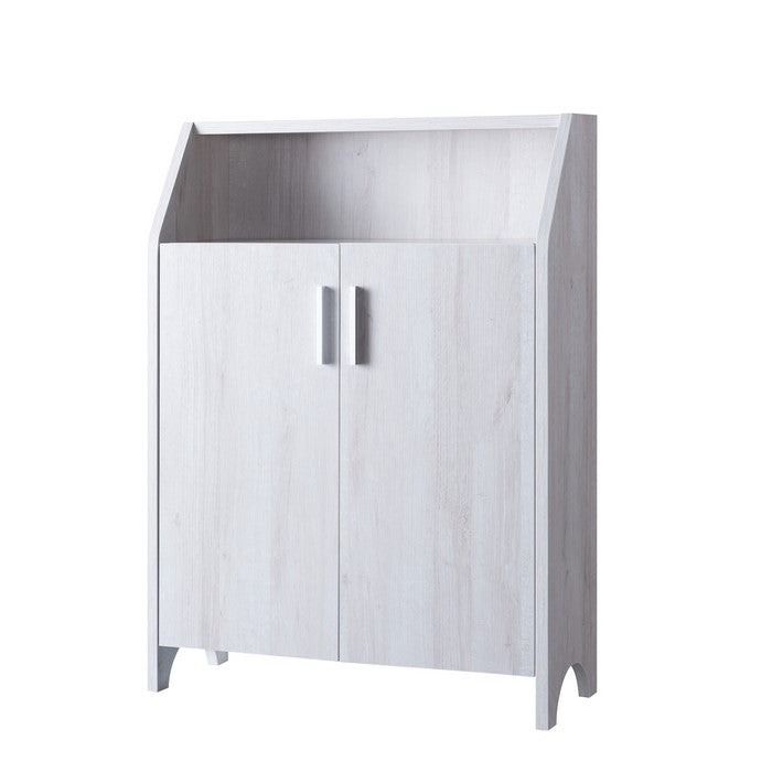2 Door Wooden Shoe Cabinet with Top Shelf Storage, White