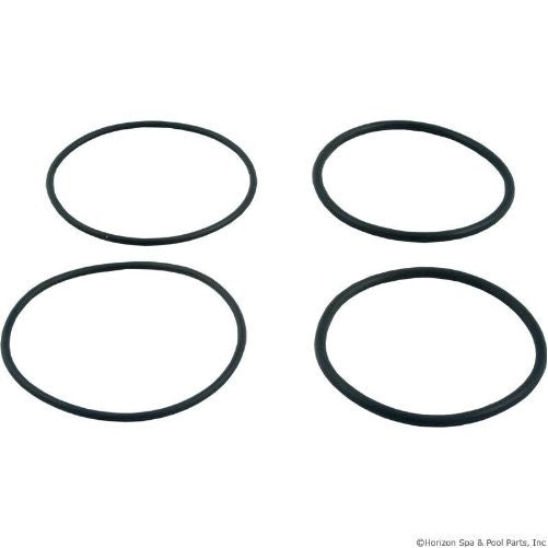 Raypack 006724F O-Ring Kit for 2-Inch Connector