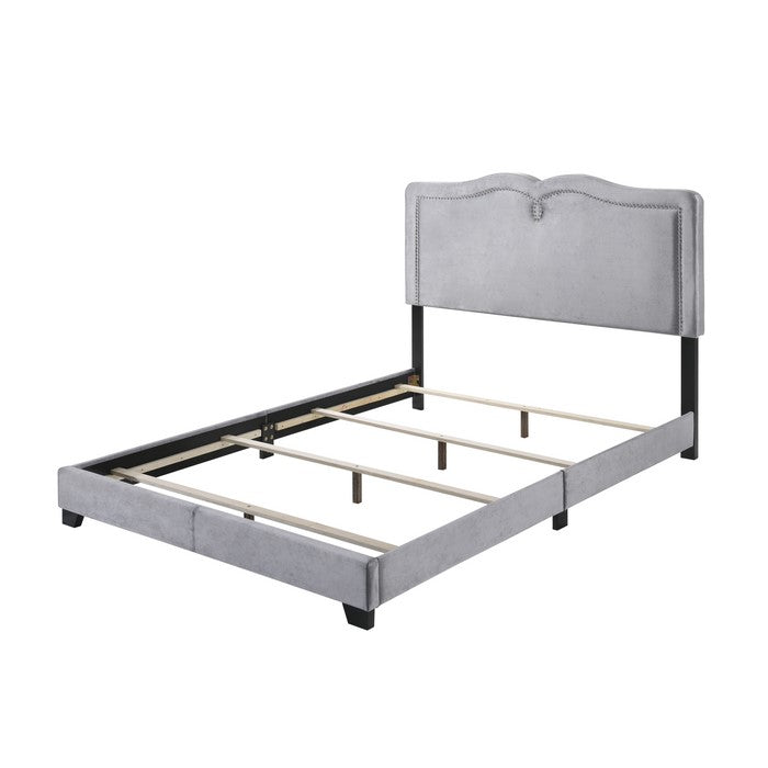Velvet Upholstered Wooden Queen Size Bed with Nail head Trims, Gray