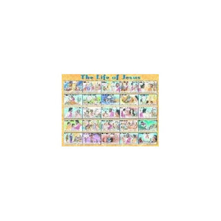 Life of Jesus Laminated Chart