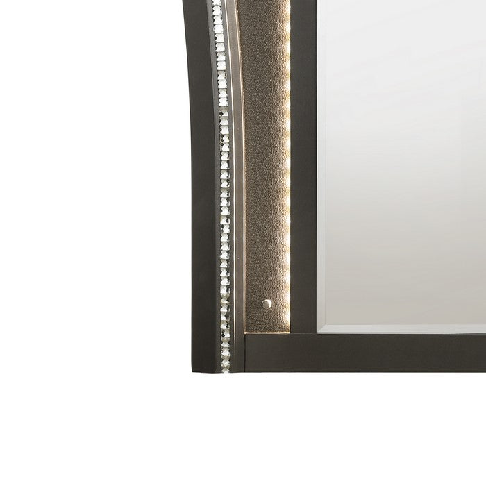 Contemporary Style Wooden Decorative Mirror with LED Lights, Gray