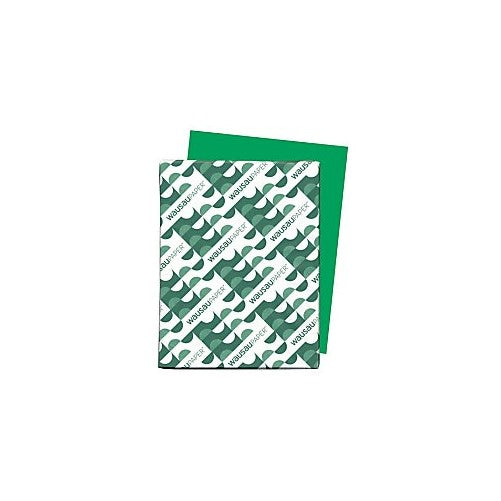 Astrobrights Color Paper, 8.5” x 11”, 24 lb/89 gsm, Gamma Green, 500 Sheets (21548)
